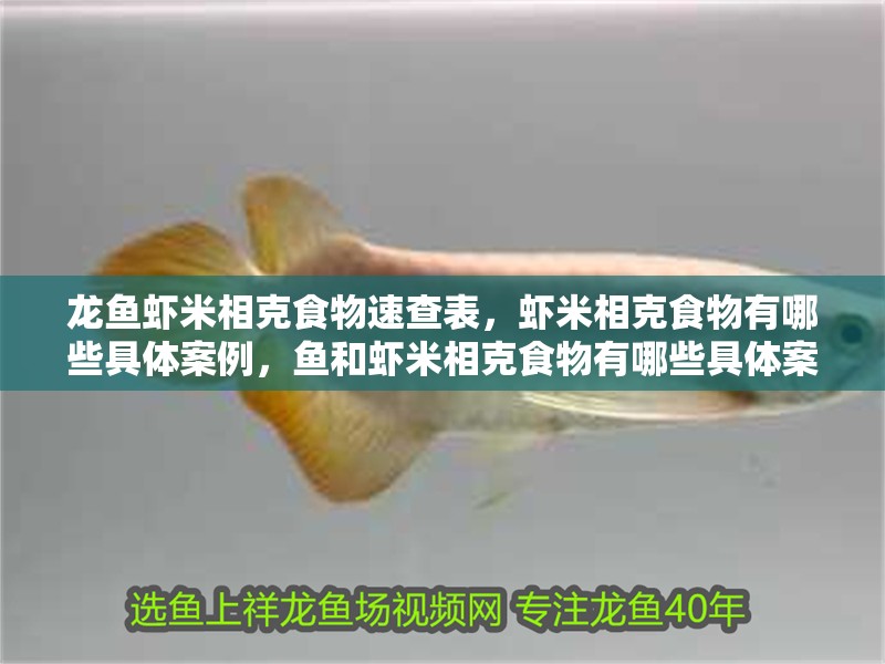 龍魚蝦米相克食物速查表，蝦米相克食物有哪些具體案例，魚和蝦米相克食物有哪些具體案例，蝦米相克食物速查表