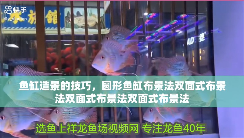 魚缸造景的技巧，圓形魚缸布景法雙面式布景法雙面式布景法雙面式布景法