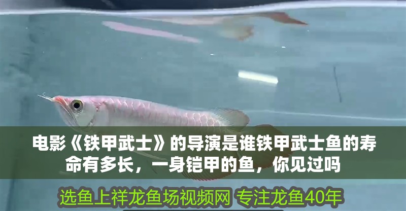 電影《鐵甲武士》的導演是誰鐵甲武士魚的壽命有多長，一身鎧甲的魚，你見過嗎
