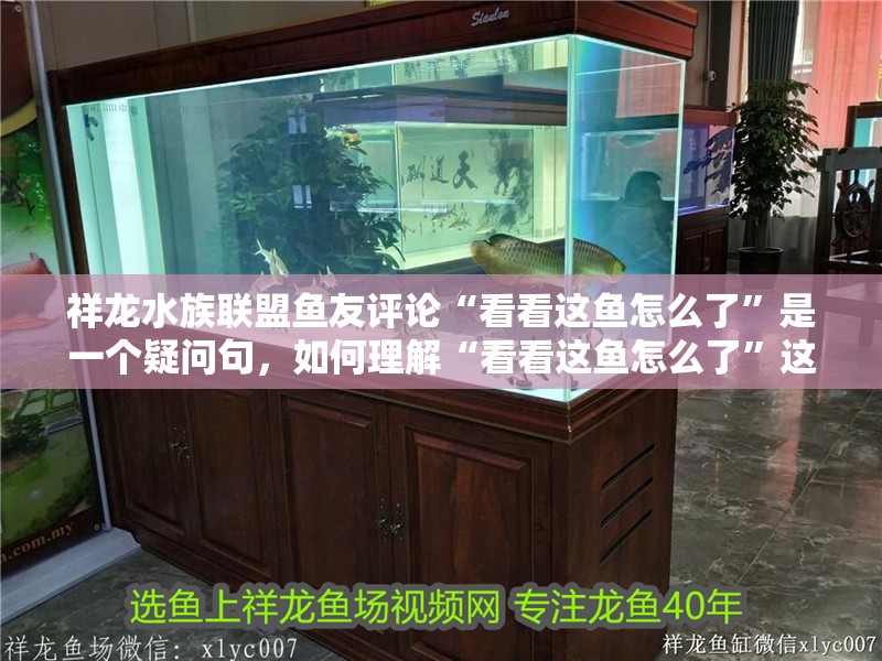 祥龍水族聯盟魚友評論“看看這魚怎么了”是一個疑問句，如何理解“看看這魚怎么了”這句話？