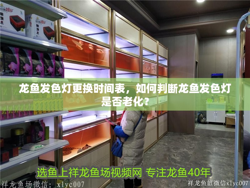 龍魚發色燈更換時間表，如何判斷龍魚發色燈是否老化？