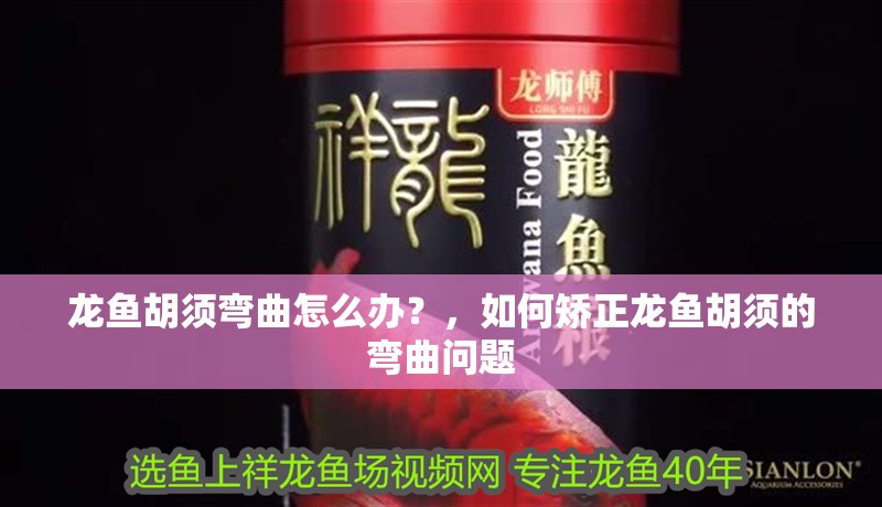 龍魚胡須彎曲怎么辦？，如何矯正龍魚胡須的彎曲問題