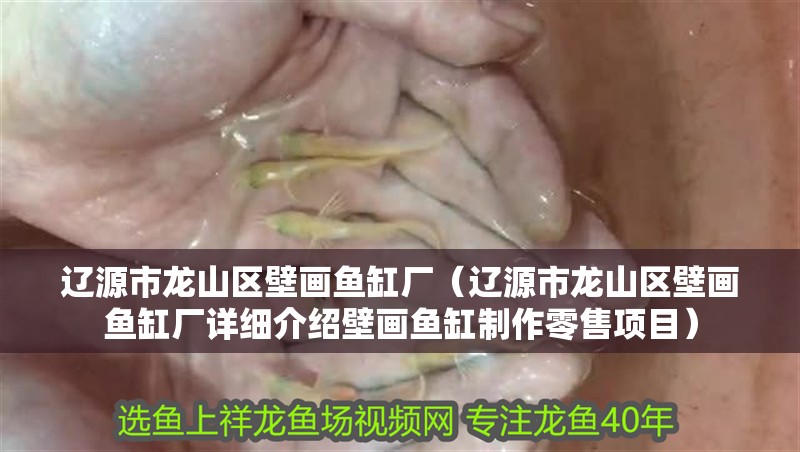 遼源市龍山區壁畫魚缸廠（遼源市龍山區壁畫魚缸廠詳細介紹壁畫魚缸制作零售項目）