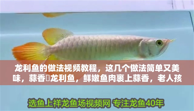 龍利魚的做法視頻教程，這幾個(gè)做法簡(jiǎn)單又美味，蒜香焗龍利魚，鮮嫩魚肉裹上蒜香，老人孩子都愛吃