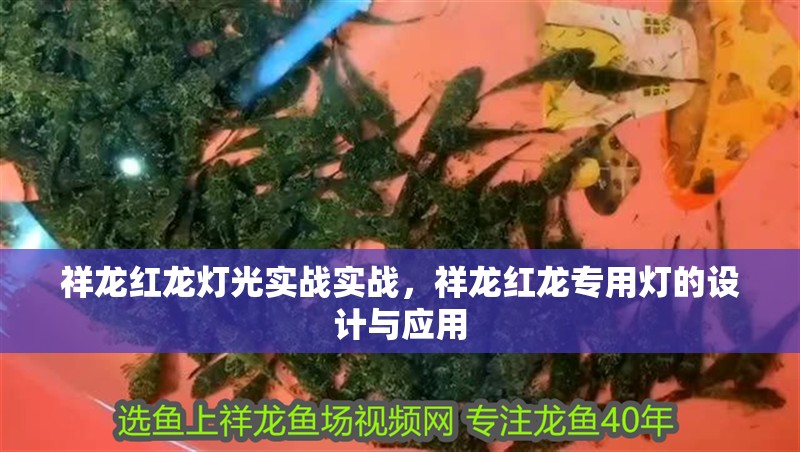 祥龍紅龍燈光實戰(zhàn)實戰(zhàn)，祥龍紅龍專用燈的設計與應用
