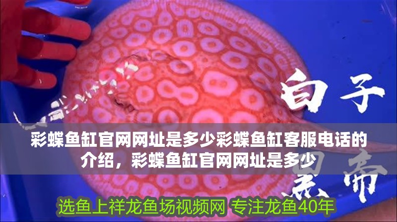 彩蝶魚缸官網網址是多少彩蝶魚缸客服電話的介紹，彩蝶魚缸官網網址是多少