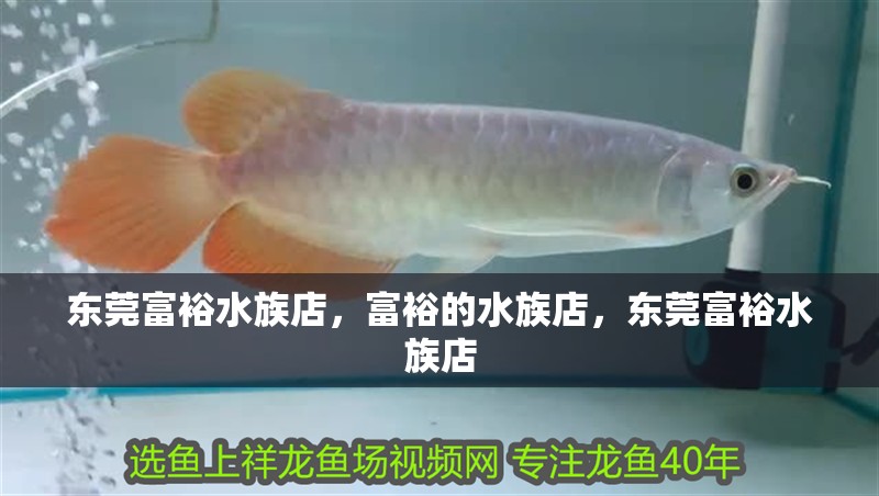 東莞富裕水族店，富裕的水族店，東莞富裕水族店