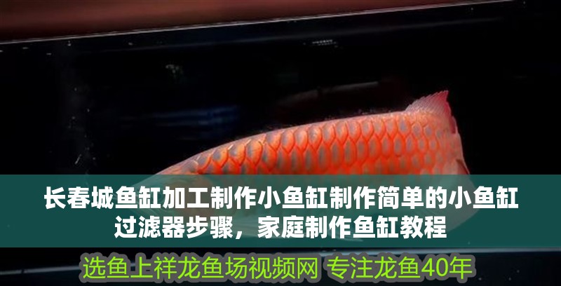 長春城魚缸加工制作小魚缸制作簡單的小魚缸過濾器步驟，家庭制作魚缸教程