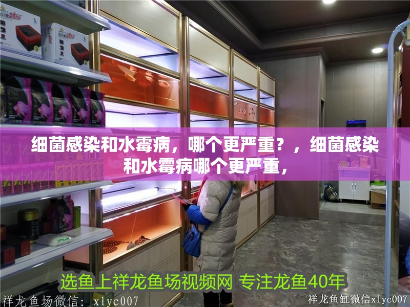 細菌感染和水霉病，哪個更嚴重？，細菌感染和水霉病哪個更嚴重，
