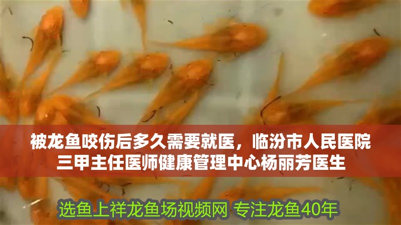 被龍魚咬傷后多久需要就醫，臨汾市人民醫院三甲主任醫師健康管理中心楊麗芳醫生