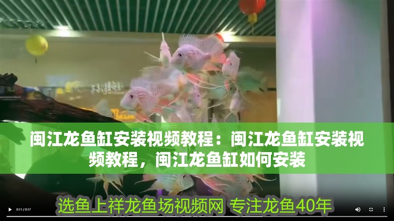 閩江龍魚缸安裝視頻教程：閩江龍魚缸安裝視頻教程，閩江龍魚缸如何安裝
