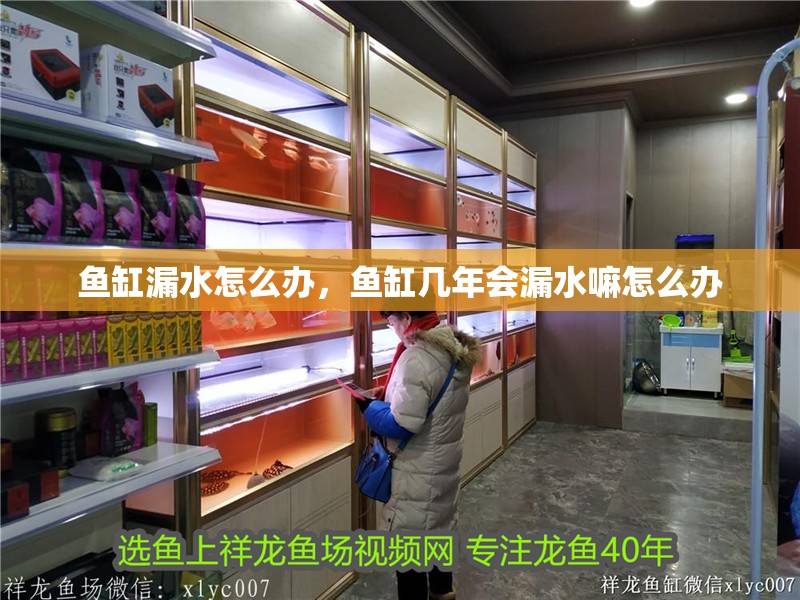 魚缸漏水怎么辦，魚缸幾年會漏水嘛怎么辦
