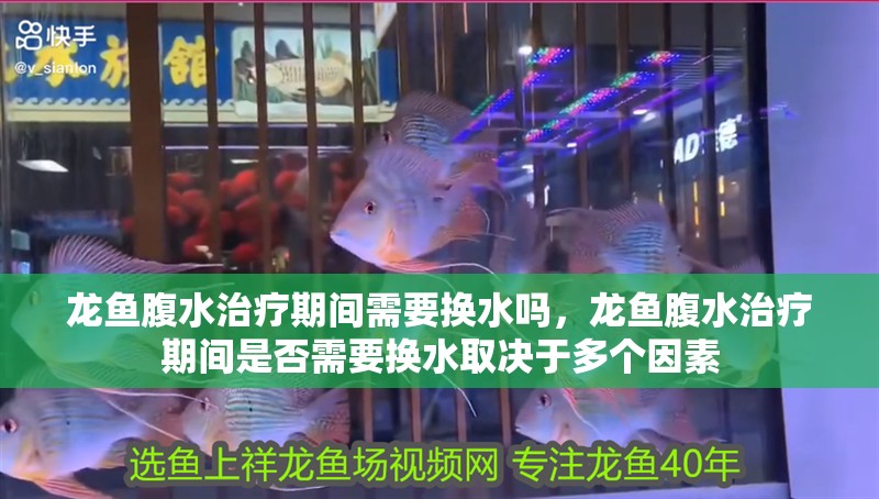 龍魚腹水治療期間需要換水嗎，龍魚腹水治療期間是否需要換水取決于多個因素