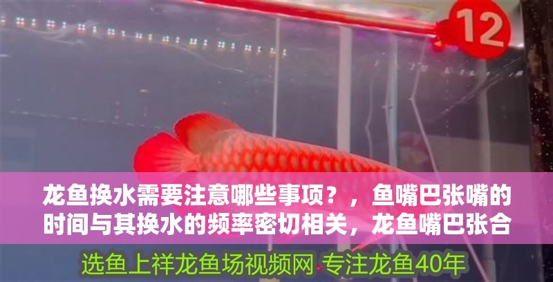 龍魚換水需要注意哪些事項？，魚嘴巴張嘴的時間與其換水的頻率密切相關(guān)，龍魚嘴巴張合頻率如何