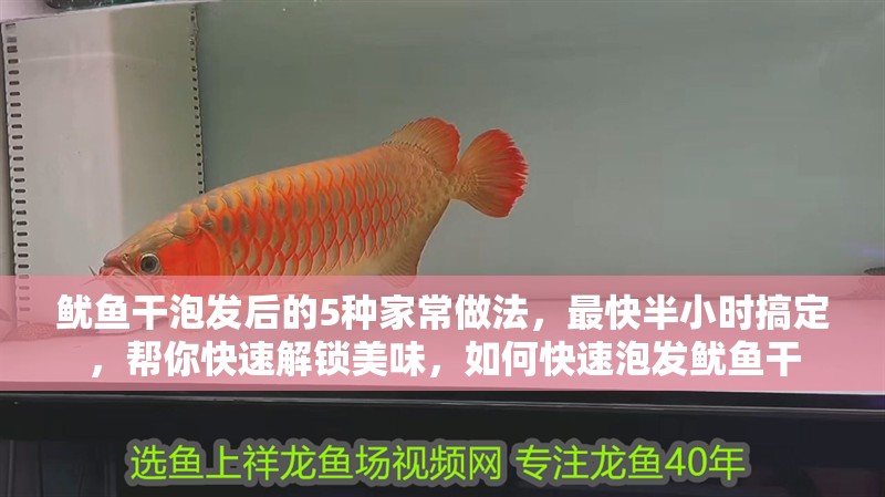魷魚干泡發(fā)后的5種家常做法，最快半小時搞定，幫你快速解鎖美味，如何快速泡發(fā)魷魚干