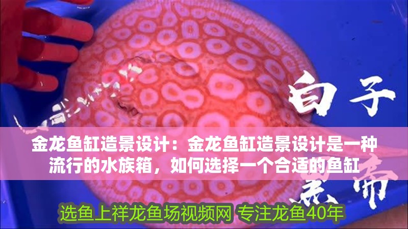 金龍魚缸造景設(shè)計(jì)：金龍魚缸造景設(shè)計(jì)是一種流行的水族箱，如何選擇一個(gè)合適的魚缸