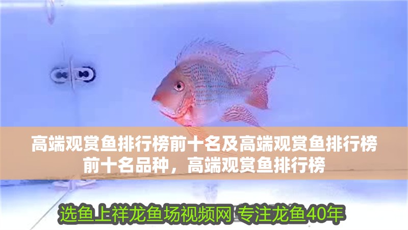 高端觀賞魚排行榜前十名及高端觀賞魚排行榜前十名品種，高端觀賞魚排行榜