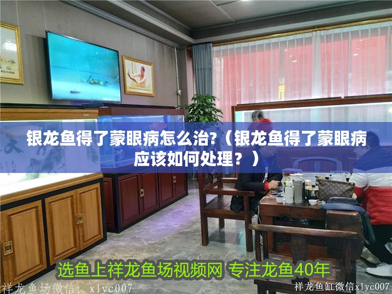 銀龍魚得了蒙眼病怎么治?（銀龍魚得了蒙眼病應該如何處理？）