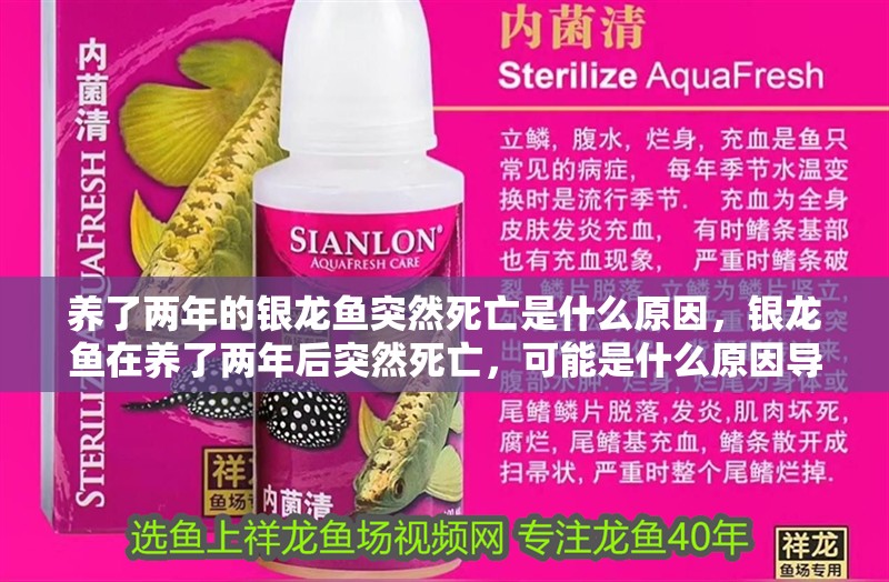 養(yǎng)了兩年的銀龍魚突然死亡是什么原因，銀龍魚在養(yǎng)了兩年后突然死亡，可能是什么原因導致的