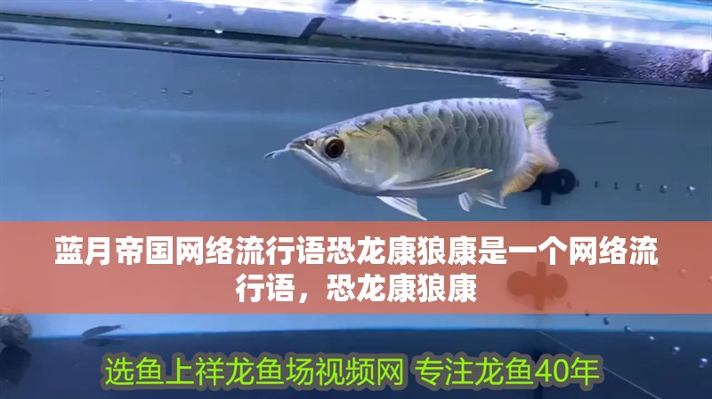 藍月帝國網絡流行語恐龍康狼康是一個網絡流行語，恐龍康狼康