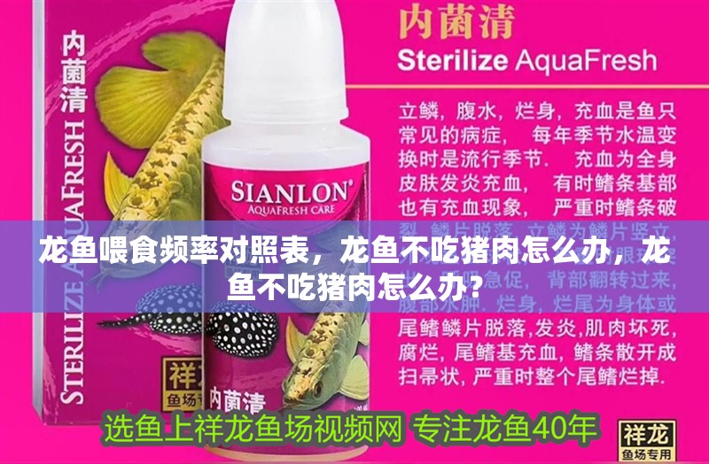 龍魚喂食頻率對照表，龍魚不吃豬肉怎么辦，龍魚不吃豬肉怎么辦？