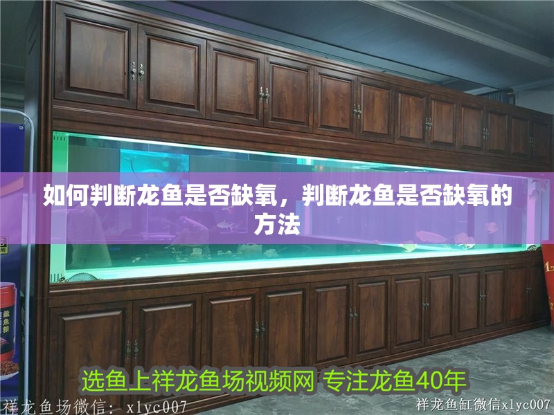 如何判斷龍魚是否缺氧，判斷龍魚是否缺氧的方法