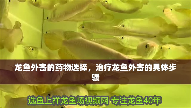 龍魚外寄的藥物選擇，治療龍魚外寄的具體步驟