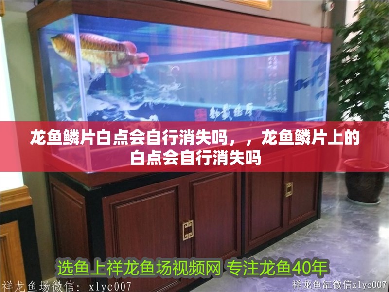 龍魚鱗片白點會自行消失嗎，，龍魚鱗片上的白點會自行消失嗎