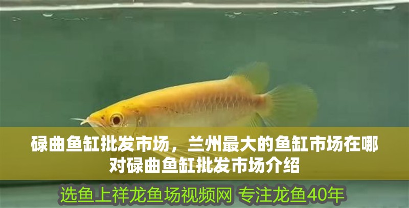 碌曲魚缸批發市場，蘭州最大的魚缸市場在哪對碌曲魚缸批發市場介紹