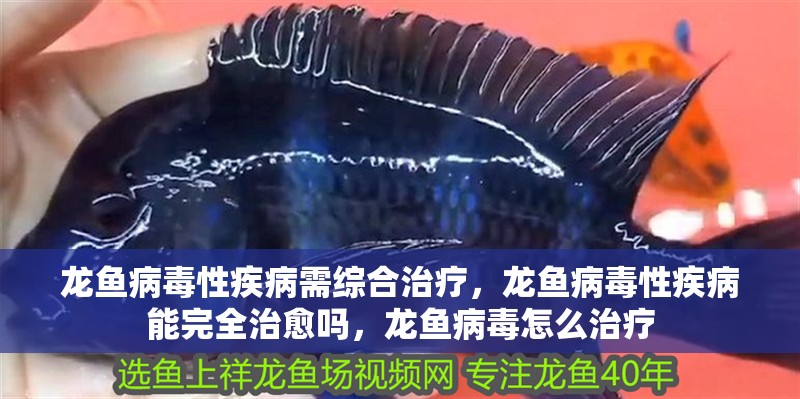 龍魚病毒性疾病需綜合治療，龍魚病毒性疾病能完全治愈嗎，龍魚病毒怎么治療