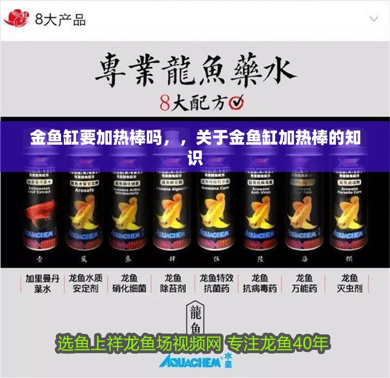金魚缸要加熱棒嗎，，關于金魚缸加熱棒的知識