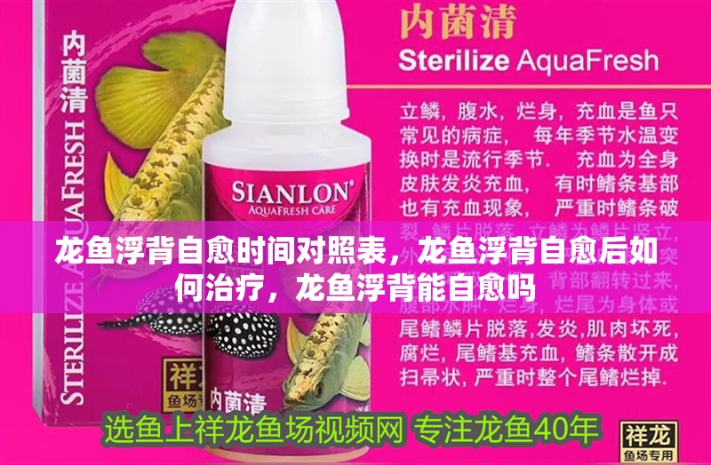 龍魚浮背自愈時間對照表，龍魚浮背自愈后如何治療，龍魚浮背能自愈嗎