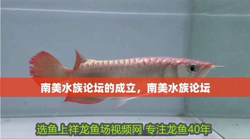 南美水族論壇的成立，南美水族論壇