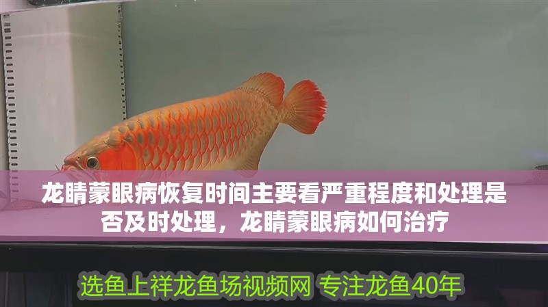 龍睛蒙眼病恢復(fù)時(shí)間主要看嚴(yán)重程度和處理是否及時(shí)處理，龍睛蒙眼病如何治療