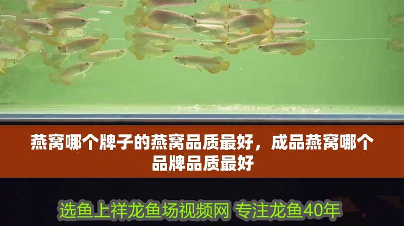 燕窩哪個牌子的燕窩品質最好，成品燕窩哪個品牌品質最好