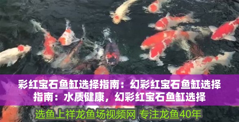 彩紅寶石魚缸選擇指南：幻彩紅寶石魚缸選擇指南：水質健康，幻彩紅寶石魚缸選擇