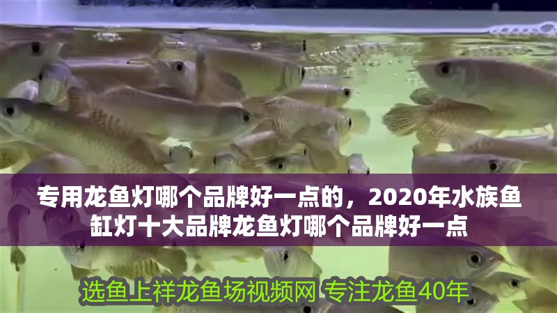 專用龍魚燈哪個品牌好一點的，2020年水族魚缸燈十大品牌龍魚燈哪個品牌好一點