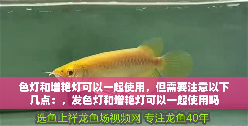 色燈和增艷燈可以一起使用，但需要注意以下幾點：，發色燈和增艷燈可以一起使用嗎