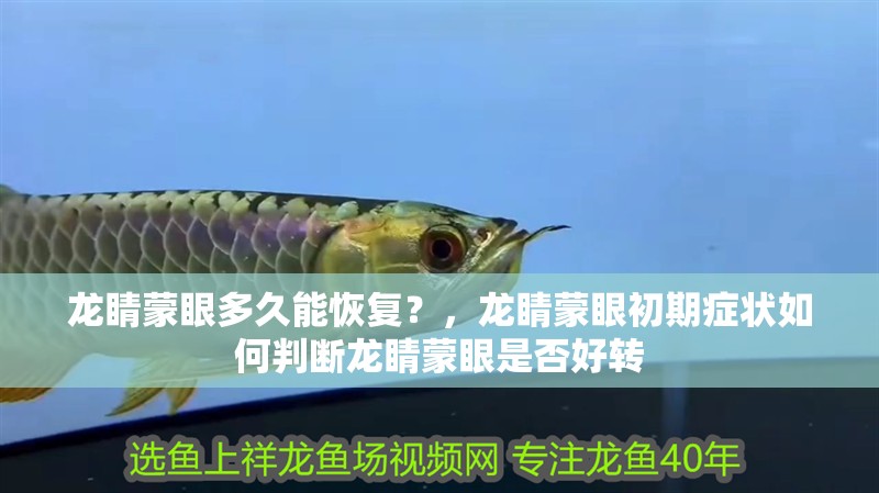 龍睛蒙眼多久能恢復(fù)？，龍睛蒙眼初期癥狀如何判斷龍睛蒙眼是否好轉(zhuǎn)