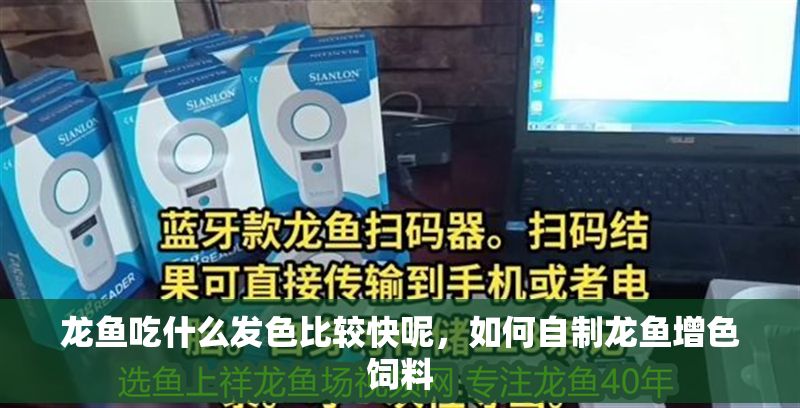 龍魚吃什么發色比較快呢，如何自制龍魚增色飼料