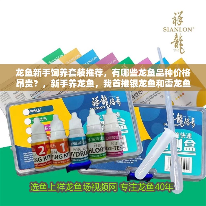 龍魚新手飼養(yǎng)套裝推薦，有哪些龍魚品種價格昂貴？，新手養(yǎng)龍魚，我首推銀龍魚和雷龍魚，銀龍魚和雷龍魚哪個好養(yǎng)