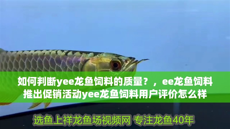 如何判斷yee龍魚飼料的質量？，ee龍魚飼料推出促銷活動yee龍魚飼料用戶評價怎么樣