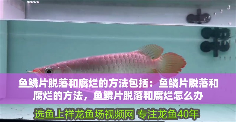 魚鱗片脫落和腐爛的方法包括：魚鱗片脫落和腐爛的方法，魚鱗片脫落和腐爛怎么辦