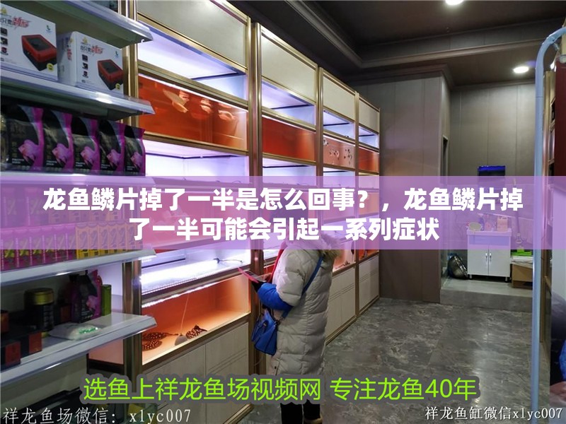 龍魚鱗片掉了一半是怎么回事？，龍魚鱗片掉了一半可能會引起一系列癥狀