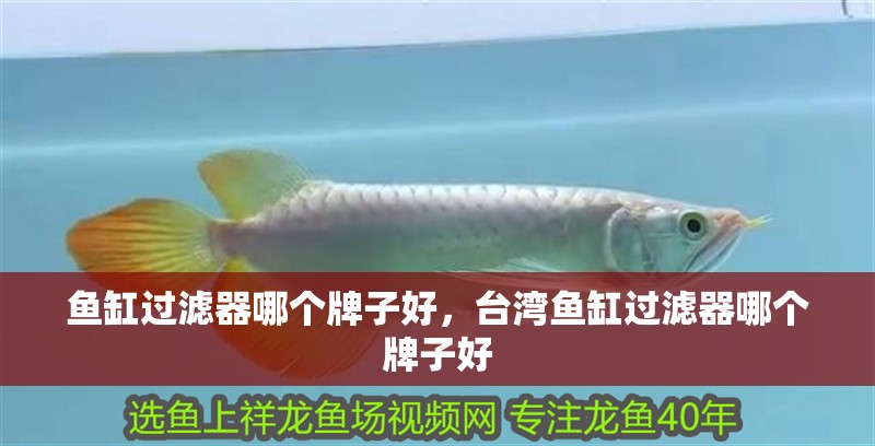 魚缸過濾器哪個牌子好，臺灣魚缸過濾器哪個牌子好