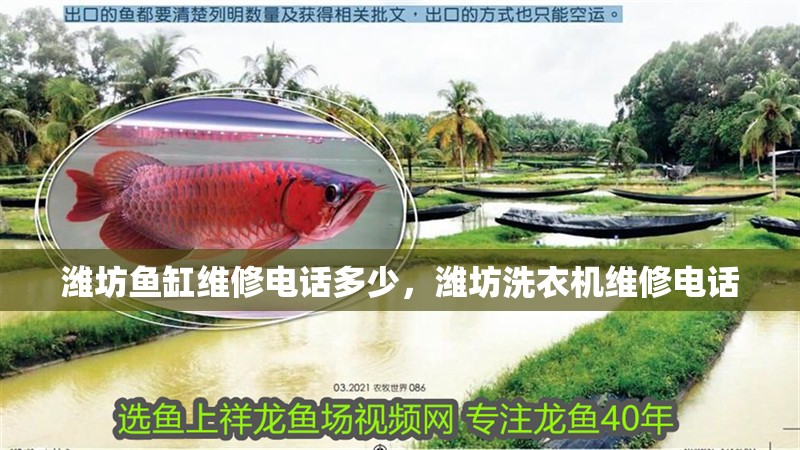 濰坊魚缸維修電話多少，濰坊洗衣機(jī)維修電話