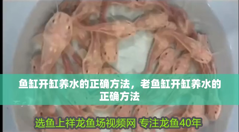 魚缸開缸養水的正確方法，老魚缸開缸養水的正確方法