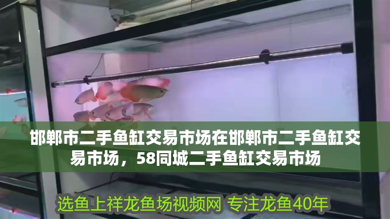 邯鄲市二手魚(yú)缸交易市場(chǎng)在邯鄲市二手魚(yú)缸交易市場(chǎng)，58同城二手魚(yú)缸交易市場(chǎng)