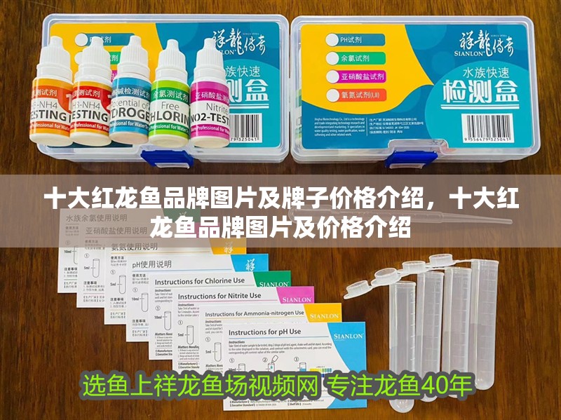 十大紅龍魚品牌圖片及牌子價格介紹,十大紅龍魚品牌圖片及價格介紹