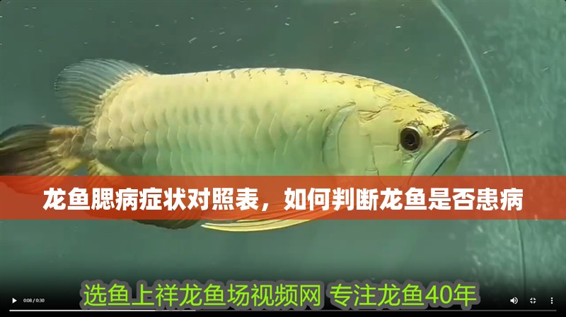 龍魚腮病癥狀對(duì)照表，如何判斷龍魚是否患病